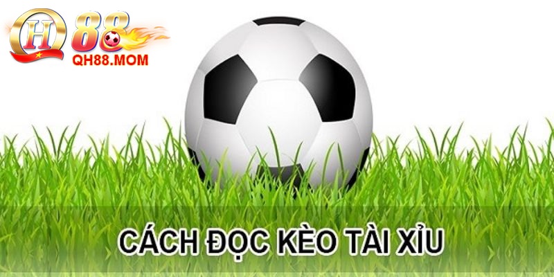 Cách đọc kèo tài xỉu chuẩn nhất tại Qh88