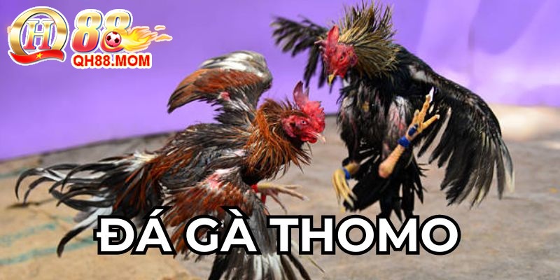 da ga thomo.jpg