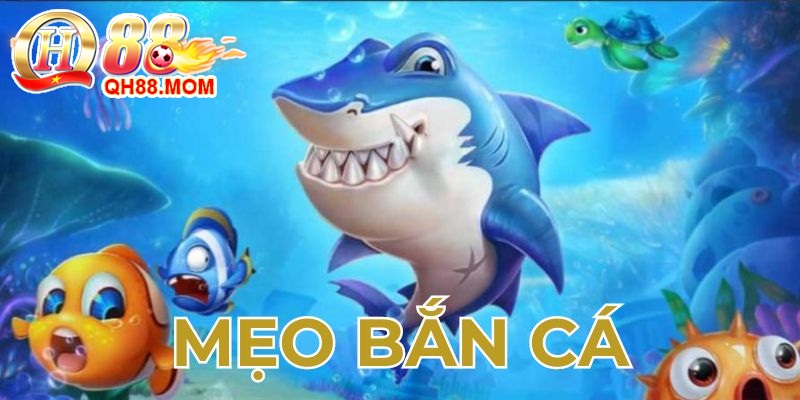 meo ban ca.jpg